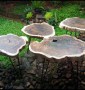 IMG-20180912-WA0012[1]